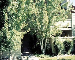 Club Lakeridge Reno Exterior photo